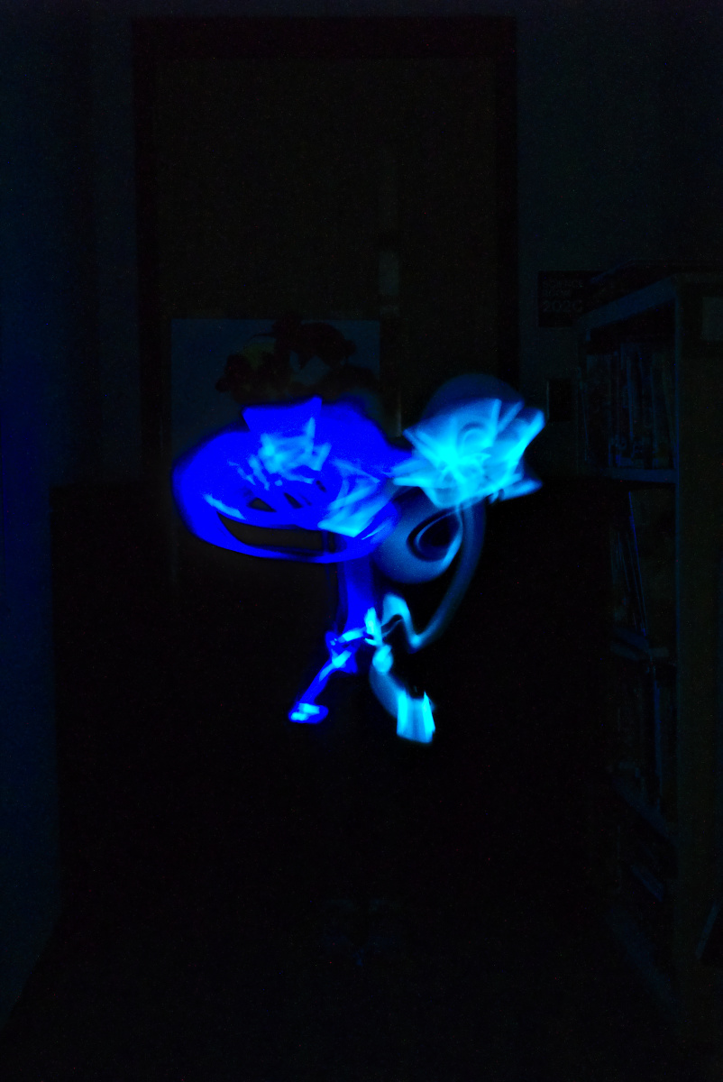 Scaled image 20180316_18:50:52_StemNight.jpg 