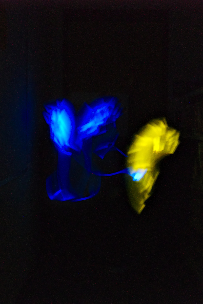 Scaled image 20180316_20:06:49_StemNight.jpg 