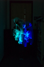 Thumbnail 20180316_18:17:11_StemNight.jpg 
