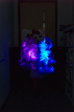 Thumbnail 20180316_18:29:03_StemNight.jpg 