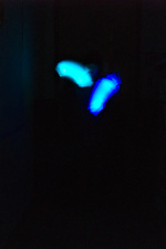 Thumbnail 20180316_19:15:34_StemNight.jpg 