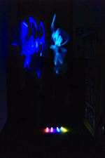 Thumbnail 20180316_19:52:19_StemNight.jpg 